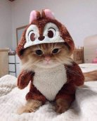 Аватар пользователя Григорий Мочульский